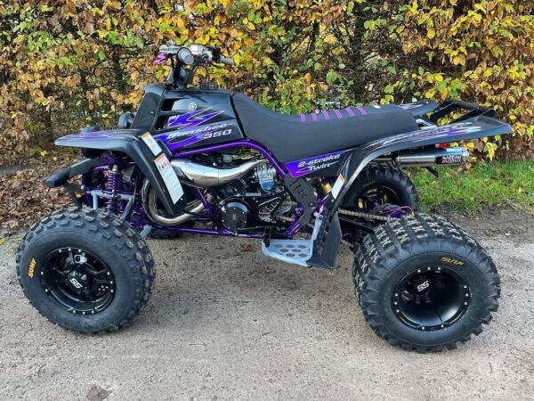 2010 Yamaha Banshee 350cc
