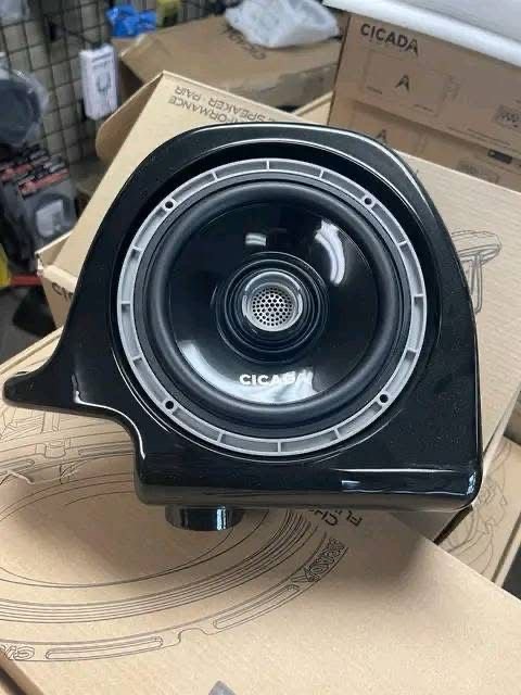 Speaker Lids for Harley Davidson - Image 5
