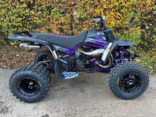 2010 Yamaha Banshee 350cc - Image 4