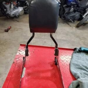Dyna Detachable Backrest