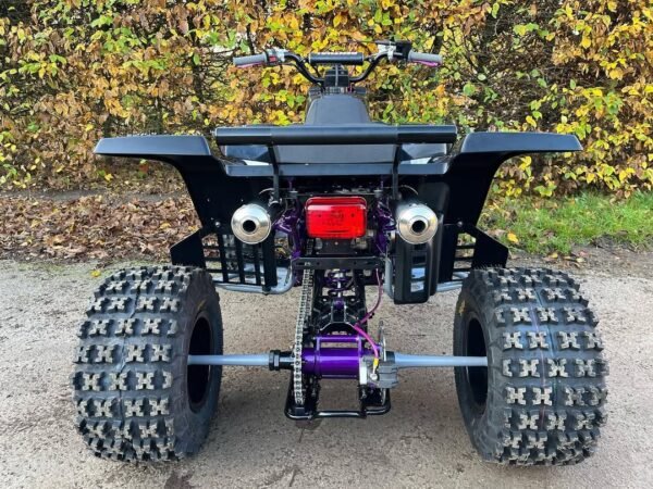 2010 Yamaha Banshee 350cc - Image 3