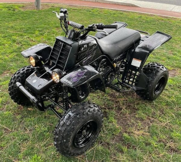 2006 Yamaha Banshee 350 - Image 6